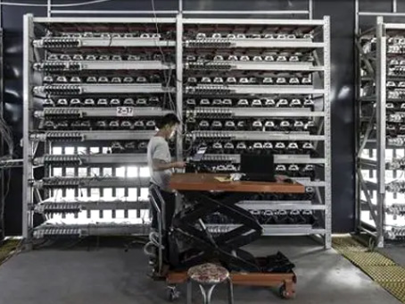 抖圈(中国区)人生就是搏!