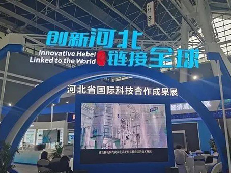 抖圈(中国区)人生就是搏!